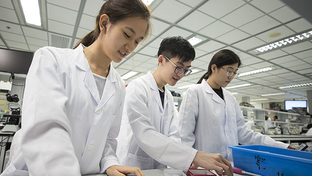 BSc In Biological Science (BISC) – The Division Of Life Science At HKUST