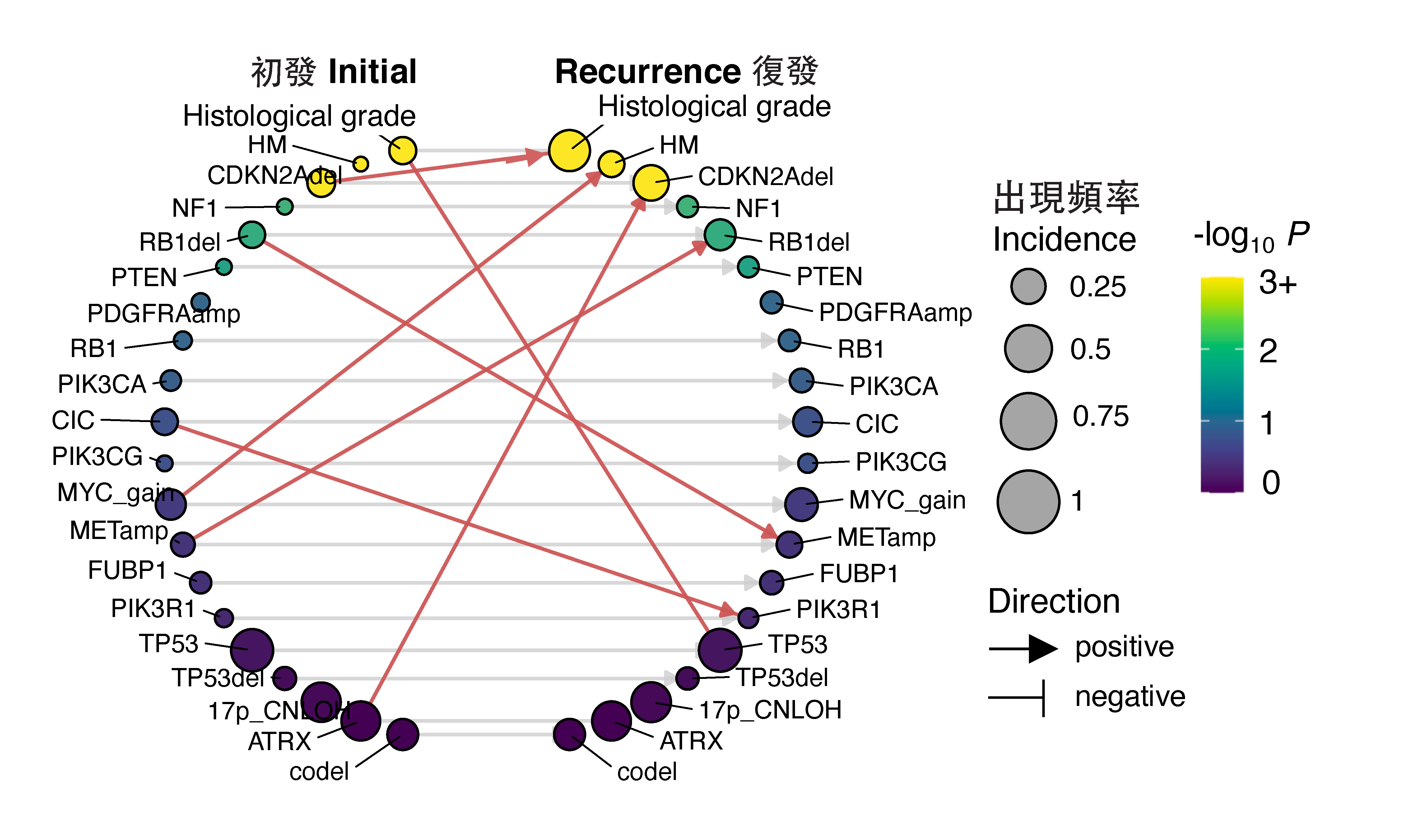 HKUST-led Research Unveils Early Predictors Of Glioma Evolution By Self ...